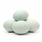 Deshi Duck Egg 4pcs